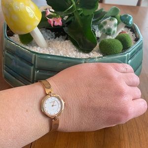 Skagen Rose Gold watch
